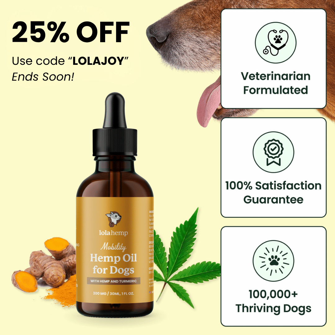 Lolahemp Mobility Drops