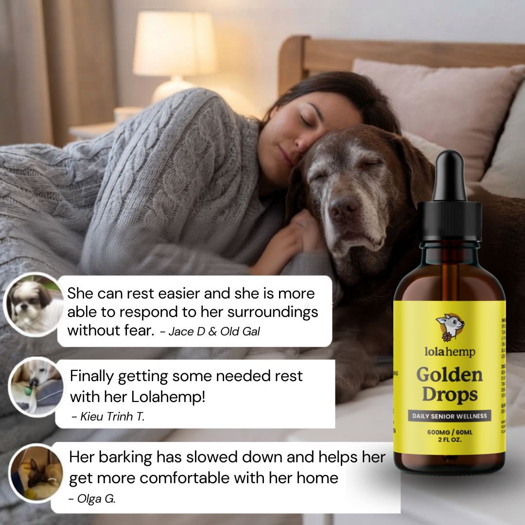 Lolahemp Golden Drops