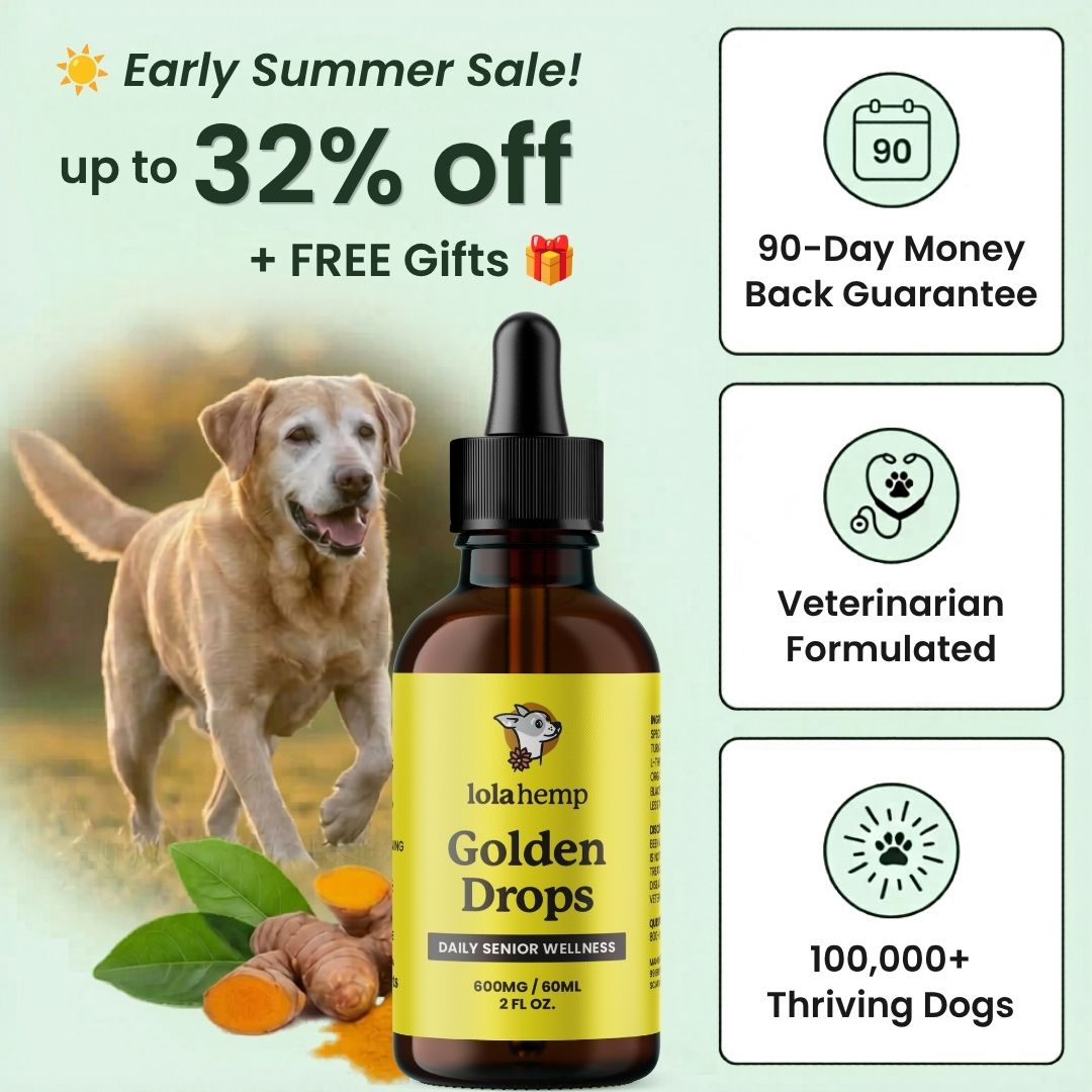 Lolahemp Golden Drops (Starter Offer)