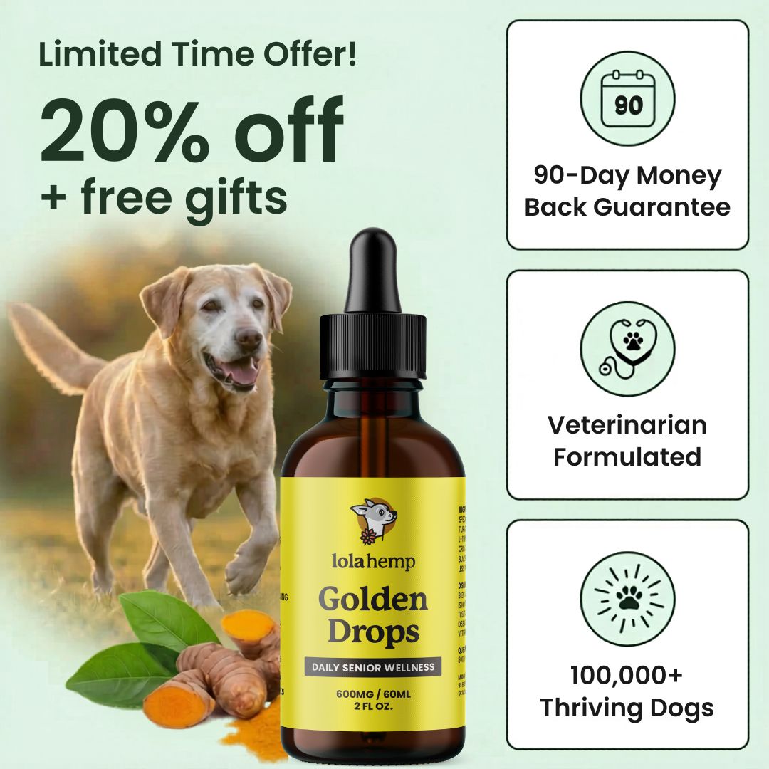 Lolahemp Golden Drops (Starter Offer)