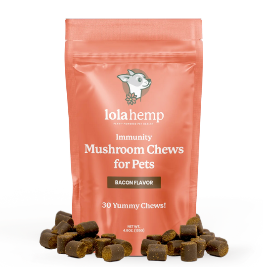 Lolahemp Immunity Mushroom Chews