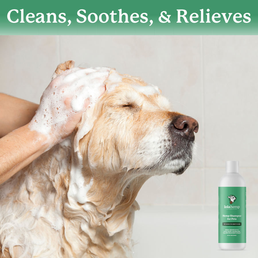 Hemp Shampoo for Pets || 300MG