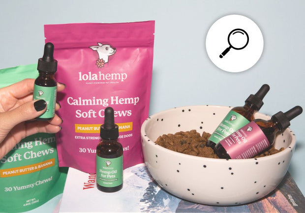 Lolahemp Calming Hemp Soft Chews and Hemp Oil for Pets next to a bowl of dog food