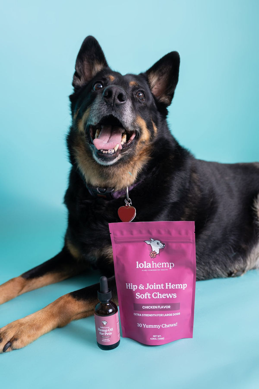 extra strength lolahemp oil bottle, next to an extra-strength bag of soft chews and a German Shepherd laying next to them, smiling. 