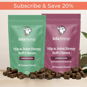 chicken flavor hip and joint chews regular and extra-strength