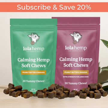 Calming Hemp Chews || Subscribe & Save