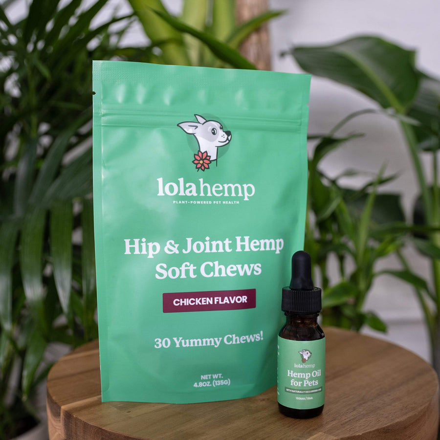 Front of green colored bag of regular strength lolahemp hip & joint hemp soft chews with brown 150mg lolahemp oil bottle with green label on wooden table with plants in the background