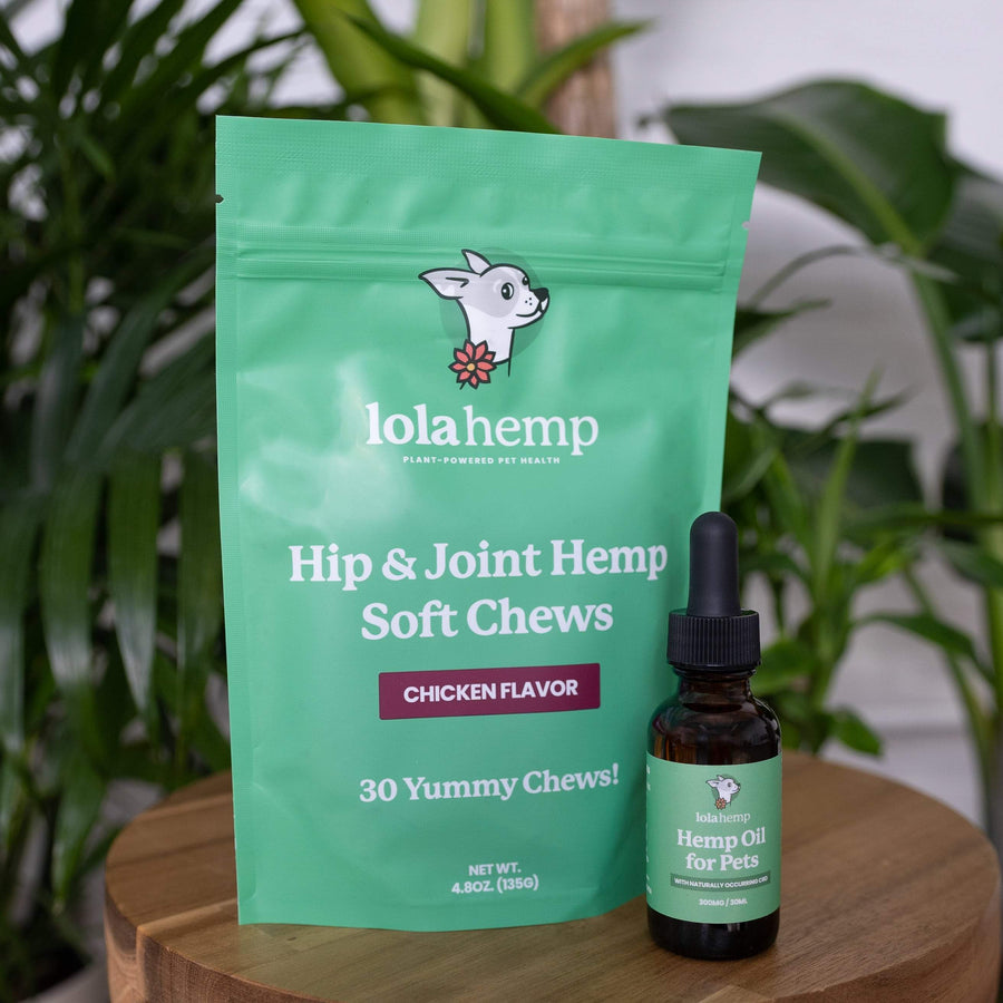 Front of green colored bag of regular strength lolahemp hip & joint hemp soft chews with brown 300mg lolahemp oil bottle with green label on wooden table with plants in the background