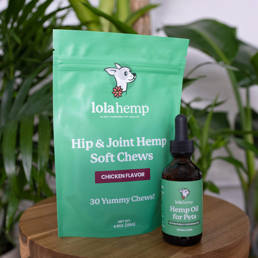 Front of green colored bag of regular strength lolahemp hip & joint hemp soft chews with brown 600mg lolahemp oil bottle with green label on wooden table with plants in the background