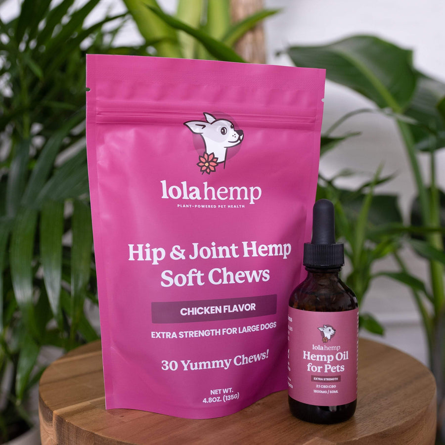 Front of fuchsia colored bag of extra strength lolahemp hip & joint hemp soft chews with brown 1800mg extra strength lolahemp oil bottle  on wooden table with plants in the background