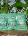 Front of mini green colored bags of regular strength lolahemp calming, hip & joint & omega hemp soft chews on a stool in front of plants