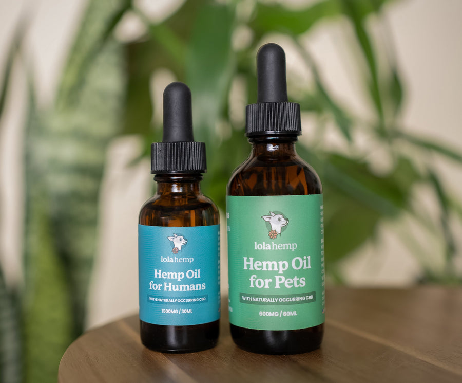 Front of lolahemp Hemp Oil for Humans with blue label & front of Lolahemp 300mg Hemp oil for pets bottle with green label on wooden table with plants in the background
