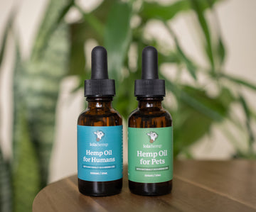 Front of lolahemp Hemp Oil for Humans with blue label & front of Lolahemp 600mg Hemp oil for pets bottle with green label on wooden table with plants in the background