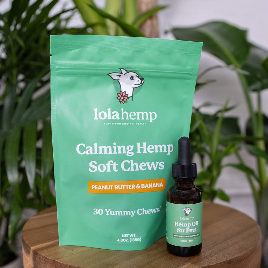 Green colored bag of regular strength lolahemp calming hemp soft chews with brown 300mg regular strength lolahemp oil bottle with green label on wooden table with plants in the background
