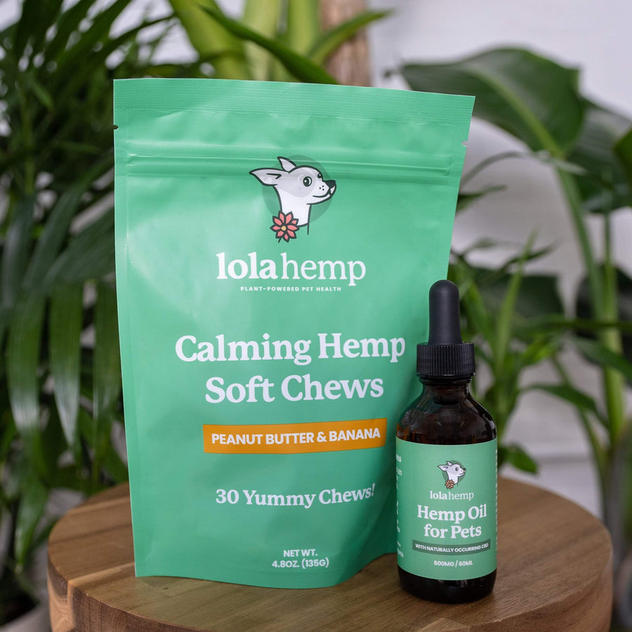 Green colored bag of regular strength lolahemp calming hemp soft chews with brown 600mg regular strength lolahemp oil bottle with green label on wooden table with plants in the background