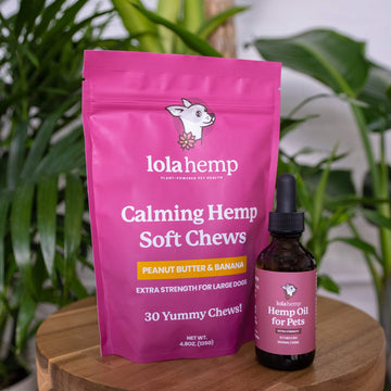 fuchsia colored bag of extra strength lolahemp calming hemp soft chews with brown 1800mg extra strength lolahemp oil bottle and fuchsia label on wooden table with plants in the background
