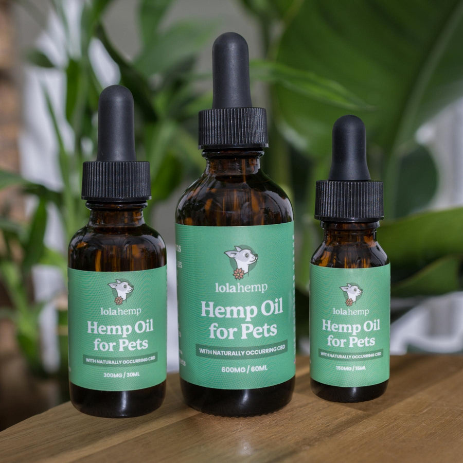lolahemp hemp oil for pets tincture collection