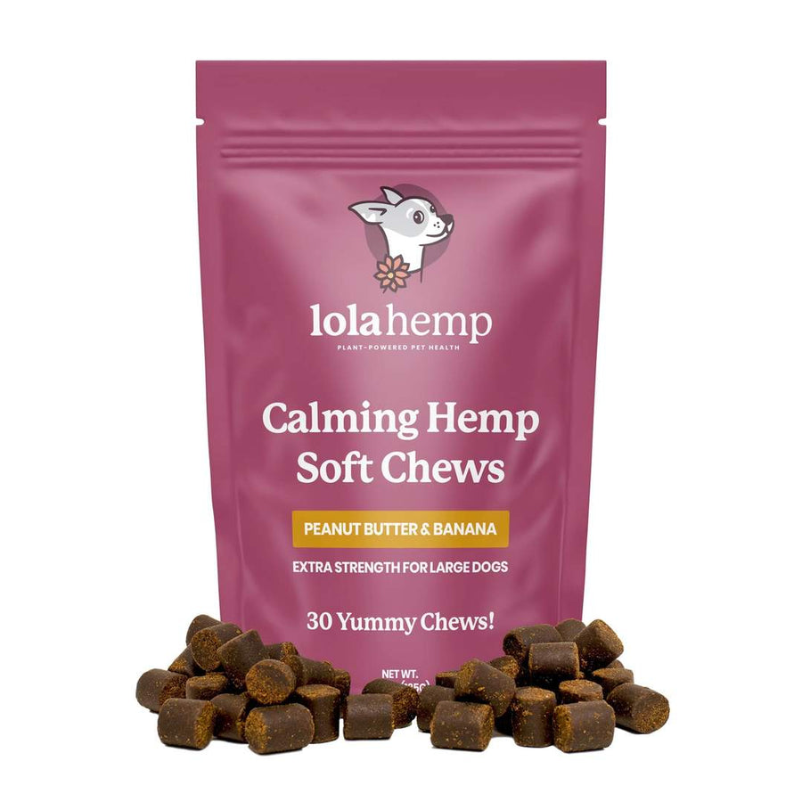 Front of fuchsia colored bag of extra strength lolahemp calming hemp soft chews with chews in front on white background