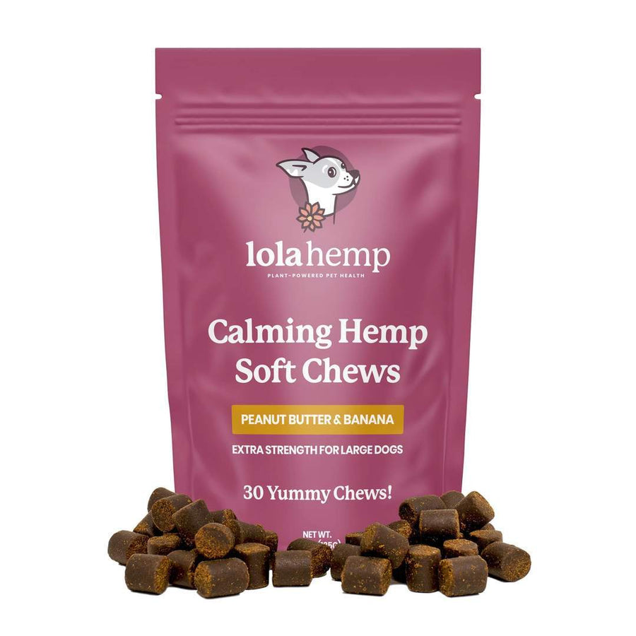 Front of fuchsia colored bag of regular strength lolahemp calming hemp soft chews with chews in front on white background