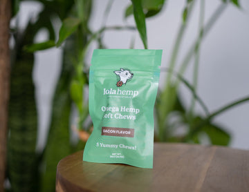 Front of mini green colored bag of regular strength lolahemp calming hemp soft chews on wooden table with plants in the background