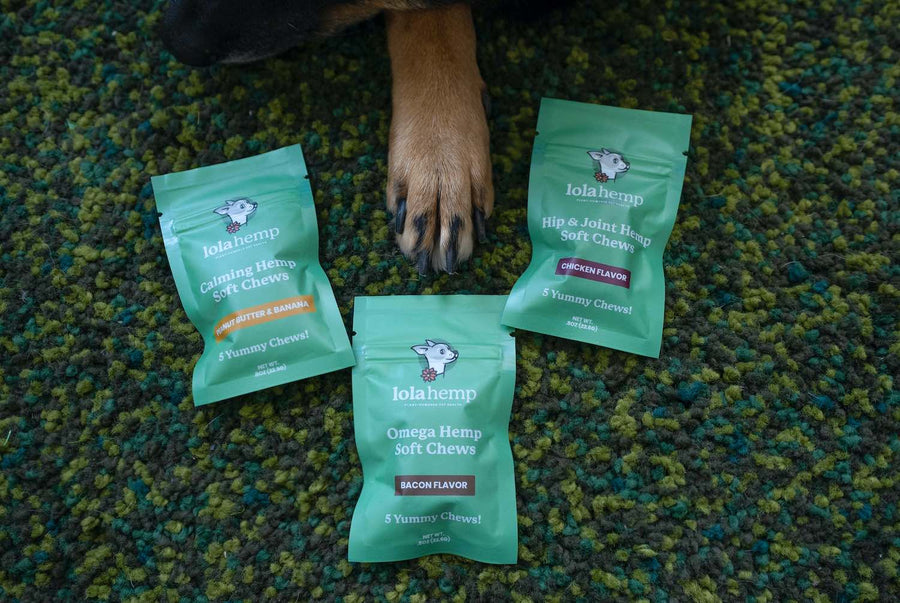 Front of mini green colored bags of regular strength lolahemp calming, hip & joint & omega hemp soft chews on green carpet with a dog paw in the center